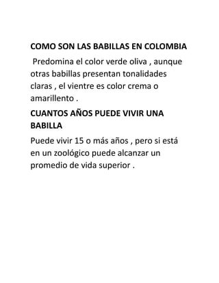 COMO SON LAS BABILLAS EN COLOMBIA
Predomina el color verde oliva , aunque
otras babillas presentan tonalidades
claras , el vientre es color crema o
amarillento .
CUANTOS AÑOS PUEDE VIVIR UNA
BABILLA
Puede vivir 15 o más años , pero si está
en un zoológico puede alcanzar un
promedio de vida superior .
 