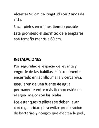 Alcanzar 90 cm de longitud con 2 años de
vida.
Sacar pieles en menos tiempo posible
Esta prohibido el sacrificio de ejemplares
con tamaño menos a 60 cm.
INSTALACIONES
Por seguridad el espacio de levante y
engorde de las babillas está totalmente
encerrado en ladrillo ,malla y cerca viva.
Requieren de una fuente de agua
permanente entre más tiempo estén en
el agua mejor son las pieles.
Los estanques o piletas se deben lavar
con regularidad para evitar proliferación
de bacterias y hongos que afecten la piel ,
 