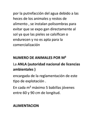 por la putrefacción del agua debido a las
heces de los animales y restos de
alimento , se instalan polisombras para
evitar que se expo gan directamente al
sol ya que las pieles se calsifican o
endurecen y no es apta para la
comercialización
NUMERO DE ANIMALES POR M²
La ANLA (autoridad nacional de licencias
ambientales )
encargada de la reglamentación de este
tipo de explotación .
En cada m² máximo 5 babillas jóvenes
entre 60 y 90 cm de longitud.
ALIMENTACION
 