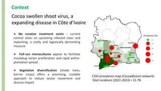 Context
Cocoa swollen shoot virus, a
expanding disease in Côte d’Ivoire
CSSV prevalence map (Cocoa4future network)
Total incidence (2021-2023) ≈ 11.7%
● No curative treatment exists - current
control relies on uprooting infected trees and
replanting, a costly and logistically demanding
measure
● Full-sun monocultures appear to facilitate
mealybug vector proliferation and rapid within-
plantation spread
● Vegetative diversification (shade trees,
barrier crops) offers a promising, scalable
approach to reduce vector movement and
disease impact
Prevalence (%)
 
