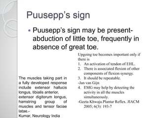 Puusepp’s sign
 Puusepp’s sign may be present-
abduction of little toe, frequently in
absence of great toe.
Upgoing toe becomes important only if
there is
1. An activation of tendon of EHL.
2. There is associated flexion of other
components of flexion synergy.
3. It should be repeatable.
-Jan van Gijn
4. EMG may help by detecting the
activity in all the muscles
simultaneously.
-Geeta Khwaja.Plantar Reflex. JIACM
2005; 6(3): 193-7
The muscles taking part in
a fully developed response
include extensor hallucis
longus, tibialis anterior,
extensor digitorum longus,
hamstring group of
muscles and tensor faciae
latae.-
Kumar, Neurology India
 