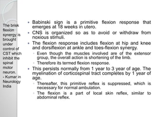  Babinski sign is a primitive flexion response that
emerges at 18 weeks in utero.
 CNS is organized so as to avoid or withdraw from
noxious stimuli.
 The flexion response includes flexion at hip and knee
and dorsiflexion at ankle and toes-flexion synergy.
◦ Even though the muscles involved are of the extensor
group, the overall action is shortening of the limb.
◦ Therefore its termed flexion response.
 This persists normally from 1 year to 3 year of age. The
myelination of corticospinal tract completes by 1 year of
age.
◦ Thereafter, this primitive reflex is suppressed, which is
necessary for normal ambulation.
◦ The flexion is a part of local skin reflex, similar to
abdominal reflex.
The brisk
flexion
synergy is
brought
under
control of
CST which
inhibit the
spinal
motor
neuron.
- Kumar in
Neurology
India
 