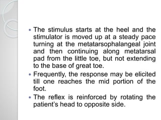  The stimulus starts at the heel and the
stimulator is moved up at a steady pace
turning at the metatarsophalangeal joint
and then continuing along metatarsal
pad from the little toe, but not extending
to the base of great toe.
 Frequently, the response may be elicited
till one reaches the mid portion of the
foot.
 The reflex is reinforced by rotating the
patient’s head to opposite side.
 