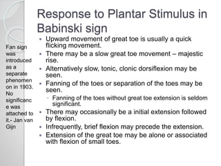 Response to Plantar Stimulus in
Babinski sign
 Upward movement of great toe is usually a quick
flicking movement.
 There may be a slow great toe movement – majestic
rise.
 Alternatively slow, tonic, clonic dorsiflexion may be
seen.
 Fanning of the toes or separation of the toes may be
seen.
◦ Fanning of the toes without great toe extension is seldom
significant.
 There may occasionally be a initial extension followed
by flexion.
 Infrequently, brief flexion may precede the extension.
 Extension of the great toe may be alone or associated
with flexion of small toes.
Fan sign
was
introduced
as a
separate
phenomen
on in 1903.
No
significanc
e was
attached to
it.- Jan van
Gijn
 