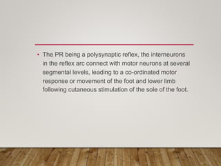 • The PR being a polysynaptic reflex, the interneurons
in the reflex arc connect with motor neurons at several
segmental levels, leading to a co-ordinated motor
response or movement of the foot and lower limb
following cutaneous stimulation of the sole of the foot.
 