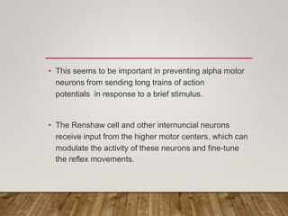 • This seems to be important in preventing alpha motor
neurons from sending long trains of action
potentials in response to a brief stimulus.
• The Renshaw cell and other internuncial neurons
receive input from the higher motor centers, which can
modulate the activity of these neurons and fine-tune
the reflex movements.
 