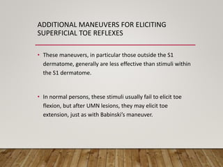 ADDITIONAL MANEUVERS FOR ELICITING
SUPERFICIAL TOE REFLEXES
• These maneuvers, in particular those outside the S1
dermatome, generally are less effective than stimuli within
the S1 dermatome.
• In normal persons, these stimuli usually fail to elicit toe
flexion, but after UMN lesions, they may elicit toe
extension, just as with Babinski’s maneuver.
 