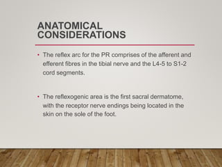 ANATOMICAL
CONSIDERATIONS
• The reflex arc for the PR comprises of the afferent and
efferent fibres in the tibial nerve and the L4-5 to S1-2
cord segments.
• The reflexogenic area is the first sacral dermatome,
with the receptor nerve endings being located in the
skin on the sole of the foot.
 