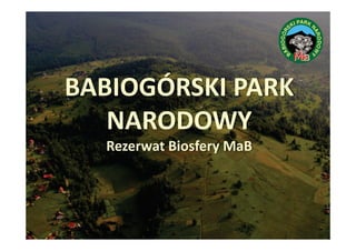 BABIOGÓRSKI PARK
NARODOWY
Rezerwat Biosfery MaB

 