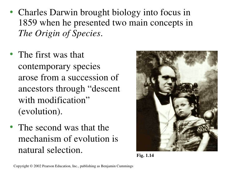 Connecting Concepts Natural Selection Connecting Concepts Natural Selection