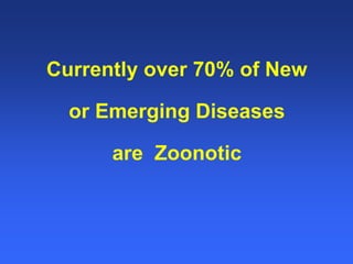 Healthy animals equals healthy, productive people