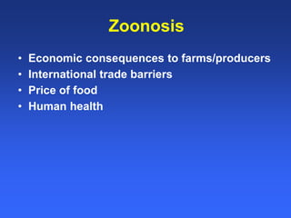 Healthy animals equals healthy, productive people