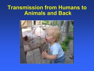 Healthy animals equals healthy, productive people