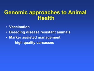 Healthy animals equals healthy, productive people