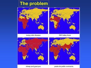 Healthy animals equals healthy, productive people
