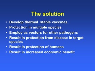 Healthy animals equals healthy, productive people