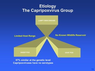 Healthy animals equals healthy, productive people