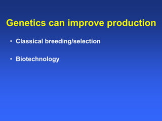 Healthy animals equals healthy, productive people