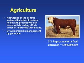 Healthy animals equals healthy, productive people