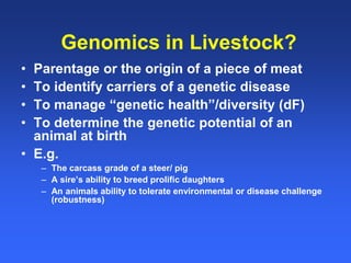 Healthy animals equals healthy, productive people