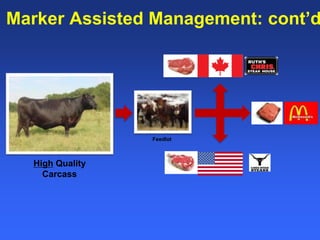 Healthy animals equals healthy, productive people