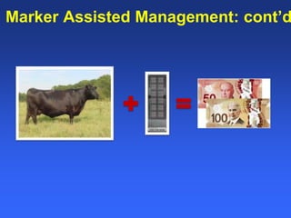 Healthy animals equals healthy, productive people