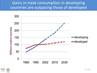 Healthy animals equals healthy, productive people
