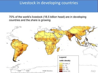 Healthy animals equals healthy, productive people