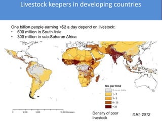 Healthy animals equals healthy, productive people