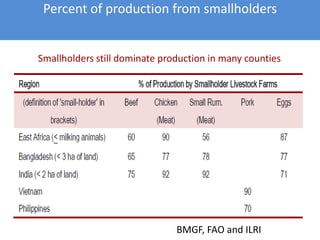 Healthy animals equals healthy, productive people