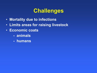 Healthy animals equals healthy, productive people