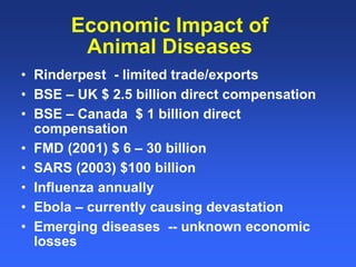 Healthy animals equals healthy, productive people