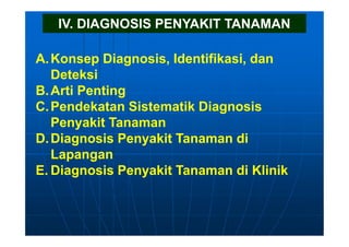 IV. DIAGNOSIS PENYAKIT TANAMAN
A.Konsep Diagnosis, Identifikasi, dan
Deteksi
B.Arti Penting
C.Pendekatan Sistematik Diagnosis
Penyakit Tanaman
D.Diagnosis Penyakit Tanaman di
Lapangan
E. Diagnosis Penyakit Tanaman di Klinik
 