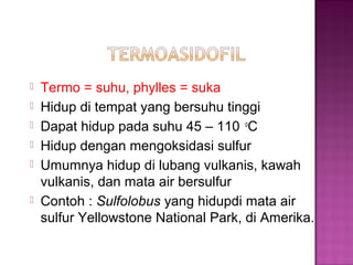  Termo = suhu, phylles = suka
 Hidup di tempat yang bersuhu tinggi
 Dapat hidup pada suhu 45 – 110 o
C
 Hidup dengan mengoksidasi sulfur
 Umumnya hidup di lubang vulkanis, kawah
vulkanis, dan mata air bersulfur
 Contoh : Sulfolobus yang hidupdi mata air
sulfur Yellowstone National Park, di Amerika.
 
