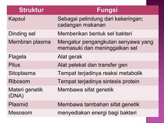 Struktur Fungsi
Kapsul Sebagai pelindung dari kekeringan;
cadangan makanan
Dinding sel Memberikan bentuk sel bakteri
Membran plasma Mengatur pengangkutan senyawa yang
memasuki dan meninggalkan sel
Flagela Alat gerak
Pilus Alat pelekat dan transfer gen
Sitoplasma Tempat terjadinya reaksi metabolik
Ribosom Tempat terjadinya sintesis protein
Materi genetik
(DNA)
Membawa sifat genetik
Plasmid Membawa tambahan sifat genetik
Mesosom menyediakan energi bagi bakteri
 