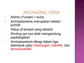  Arkhio (Yunani) = kuno
 Archaebacteria merupakan bakteri
primitif
 Hidup di tempat yang ekstrim
 Dinding sel nya tidak mengandung
peptidoglikan
 Archaebacteria dibagi dalam tiga
kelompok yaitu metanogen, halofilik, dan
termoasidofilik
 
