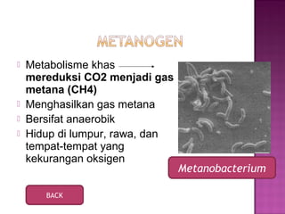  Metabolisme khas
mereduksi CO2 menjadi gas
metana (CH4)
 Menghasilkan gas metana
 Bersifat anaerobik
 Hidup di lumpur, rawa, dan
tempat-tempat yang
kekurangan oksigen
Metanobacterium
BACK
 