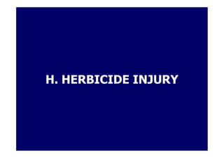 H. HERBICIDE INJURY
 