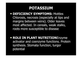 POTASSIUM
• DEFICIENCY SYMPTOMS: Mottles
Chlorosis, necrosis (especially at tips and
margins between veins). Older leaves
most affected. In cereals, weak stalks,
roots more susceptible to disease
• ROLE IN PLANT NUTRITIONEnzyme
activator and coenzyme functions. Protein
synthesis. Stomata function, turgor
potential
 