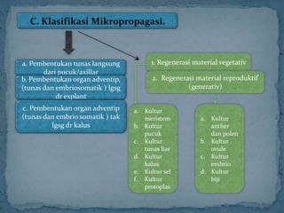 C. Klasifikasi Mikropropagasi.
a. Pembentukan tunas langsung
dari pucuk/axillar
b. Pembentukan organ adventip,
(tunas dan embriosomatik ) lgsg
dr explant
c. Pembentukan organ adventip
(tunas dan embrio somatik ) tak
lgsg dr kalus
1. Regenerasi material vegetativ
2. Regenerasi material reproduktif
(generativ)
a. Kultur
meristem
b. Kultur
pucuk
c. Kultur
tunas liar
d. Kultur
kalus
e. Kultur sel
f. Kultur
protoplas
a. Kultur
anther
dan polen
b. Kultur
ovule
c. Kultur
embrio
d. Kultur
biji
 