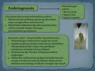 Embriogenesis
Perkembangan
embrio :
Bentuk bulat
Seperti hati
Seperti torpedo2 hal pemecahan proses terbentuknya embrio :
1. Masih terbatas/sedikinya spesies yg ditemukan
dapat menghasilkan embriosomati
2. Masih belum diketahui dgn jelas ttg kebutuhan
embrio somatik sampai mencapai
pertumbuhan yg sempurna
Ammirato (1987) : menyimpulkan ttg embriosoma :
1. Perkembangan embriosoma sangat bervariasi.
2. Apabila terjadi perubahan maka hal ini disebabkan
oleh perubahan dlm waktu serta perlakuan
selanjutnya terhadap hasil yg didapati.
3. Embriosoma dpt bereaksi trhadap perubahan
lingkungan.
4. Akibat dari embriosoma yg dapat berubah susunan
maupun struktural maka perbedaan dalam proses
biokimia serta biologi molekuler mungkin dpt terjadi.
 
