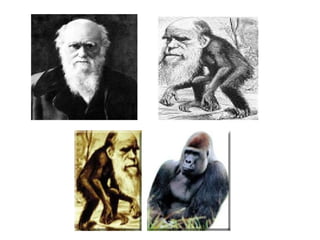 Bab Iv Teori Evolusi (D)