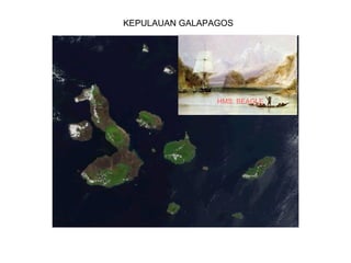 KEPULAUAN GALAPAGOS




                HMS. BEAGLE
 