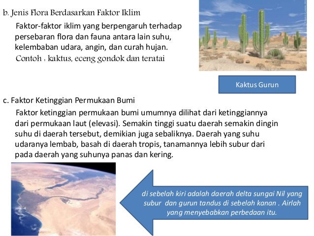 82 Gambar Persebaran Flora Berdasarkan Elevasi Kekinian 82 Gambar Persebaran Flora Berdasarkan Elevasi Kekinian