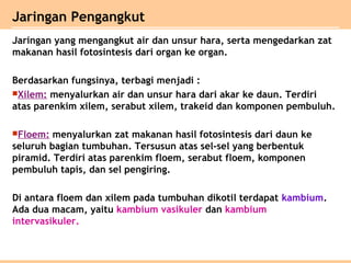 Jaringan yang mengangkut air dan unsur hara, serta mengedarkan zat
makanan hasil fotosintesis dari organ ke organ.
Berdasarkan fungsinya, terbagi menjadi :
Xilem: menyalurkan air dan unsur hara dari akar ke daun. Terdiri
atas parenkim xilem, serabut xilem, trakeid dan komponen pembuluh.
Floem: menyalurkan zat makanan hasil fotosintesis dari daun ke
seluruh bagian tumbuhan. Tersusun atas sel-sel yang berbentuk
piramid. Terdiri atas parenkim floem, serabut floem, komponen
pembuluh tapis, dan sel pengiring.
Di antara floem dan xilem pada tumbuhan dikotil terdapat kambium.
Ada dua macam, yaitu kambium vasikuler dan kambium
intervasikuler.
Jaringan Pengangkut
 