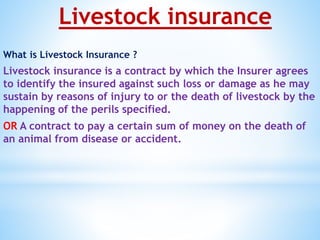 Livestock insurance
What is Livestock Insurance ?
Livestock insurance is a contract by which the Insurer agrees
to identify the insured against such loss or damage as he may
sustain by reasons of injury to or the death of livestock by the
happening of the perils specified.
OR A contract to pay a certain sum of money on the death of
an animal from disease or accident.
 