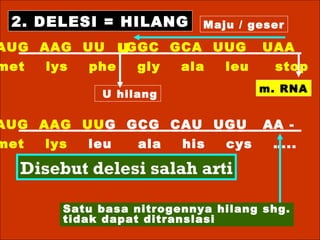 AUG  AAG  UU  GGC  GCA  UUG  UAA met  lys  phe  gly  ala  leu  stop AUG  AAG  UU G   GCG  CAU  UGU  AA - met  lys  leu  ala  his  cys  …..   U hilang Maju / geser Satu basa nitrogennya hilang shg. tidak dapat ditranslasi Disebut delesi salah arti 2. DELESI = HILANG m. RNA u 