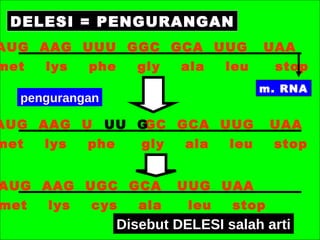AUG  AAG  UUU  GGC  GCA  UUG  UAA met  lys  phe  gly  ala  leu  stop AUG  AAG  U  GC  GCA  UUG  UAA met  lys  phe  gly  ala  leu  stop  DELESI = PENGURANGAN m. RNA UU  G  pengurangan AUG  AAG  UGC  GCA  UUG  UAA  met  lys  cys  ala  leu  stop  Disebut DELESI salah arti 