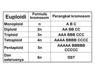 DST 6n Dan seterusnya AAAAA BBBBB CCCCC 5n Pentaploid AAAA BBBB CCCC 4n Tetraploid AAA BBB CCC 3n Triploid AA BB CC 2n Diploid A B C n Monoploid Perangkat kromosom Formula kromosom Euploidi 