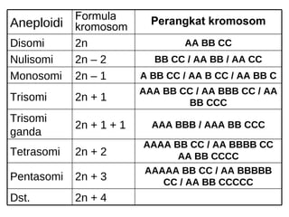 2n + 4 Dst.  AAAAA BB CC / AA BBBBB CC / AA BB CCCCC 2n + 3 Pentasomi AAAA BB CC / AA BBBB CC AA BB CCCC 2n + 2 Tetrasomi AAA BBB / AAA BB CCC 2n + 1 + 1 Trisomi ganda AAA BB CC / AA BBB CC / AA BB CCC 2n + 1 Trisomi A BB CC / AA B CC / AA BB C 2n – 1 Monosomi BB CC / AA BB / AA CC 2n – 2 Nulisomi AA BB CC 2n Disomi Perangkat kromosom Formula kromosom Aneploidi 